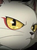 雨纷飞 (35秒DJ经典老歌卡点版)