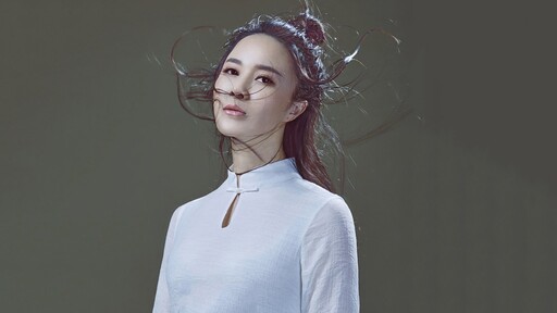 梅花賦 - 夢葦、李軍