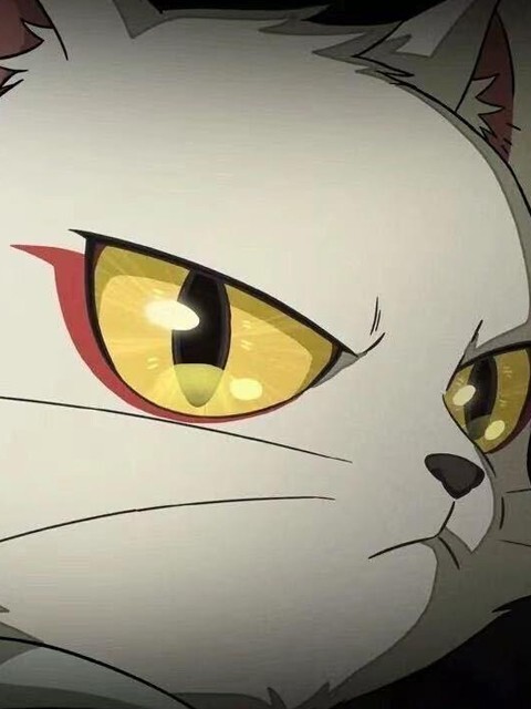 雨纷飞 (35秒DJ经典老歌卡点版)