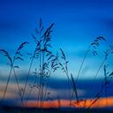 墨尔本的秋天吉他