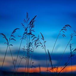 墨尔本的秋天吉他铃声