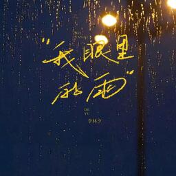 我眼裡的雨