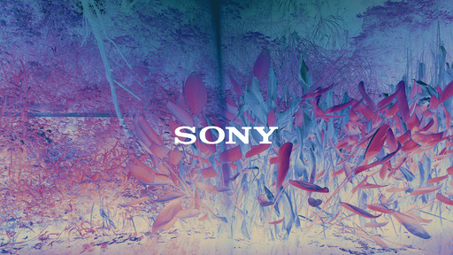 sony索尼经典来电