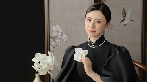 此去半生 (青衣戏腔版)