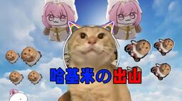 哈基米出山来电