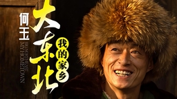 大东北我的家乡 - 何玉