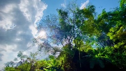 放空 - 星辰妙漫