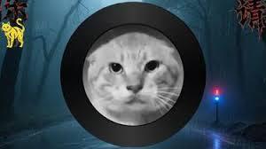 哈基米（懸疑版）