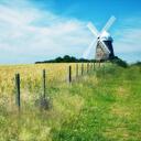 Windy Hill（治愈自然之声）