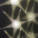 我怕兜裡沒有錢 (熱血版)