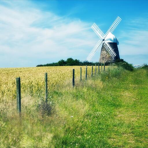 Windy Hill（治愈自然之声）