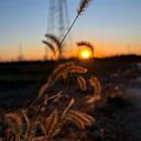 别在冬天把我丢下（女版）