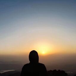 蘑菇蘑菇（躲在市場的角落）