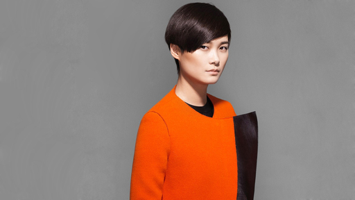 大梦归离-李宇春