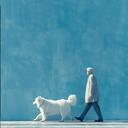 我会好好的 (我要你默默走不回头)-羊羊,文夫