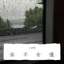 你不会懂-Joysaaaa