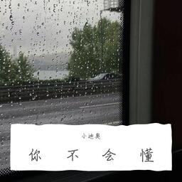 你不會懂-Joysaaaa