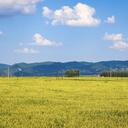 斯卡布罗集市 (纯音乐版)