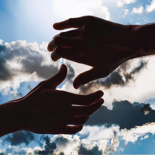 示弱 (明明是你犯错)