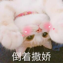 撒娇八连