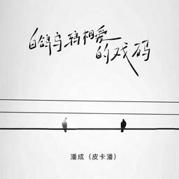 白鸽乌鸦相爱的戏码-潘成（皮卡潘）