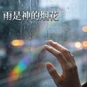雨是神的煙花 (我的愛不值一提嗎)-Nyxx.