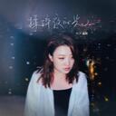 揉碎夜的光-代詩琪